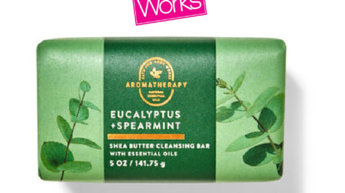 Eucalyptus Spearmint Shea Butter Cleansing Bar (141g) by Bath & Body Works