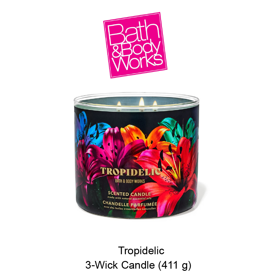 BB 3-Wick Candle Feb-15-2024-02 Tropidelic 3-Wick Candle - Image 1