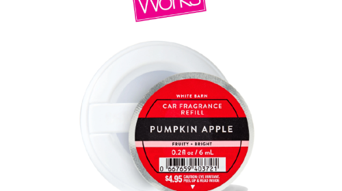 Pumpkin Apple Car Fragrance Refill
