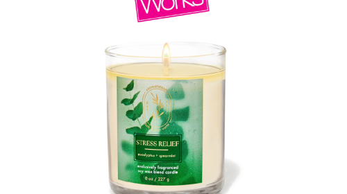 White Barn Eucalyptus Spearmint Single Wick Candle